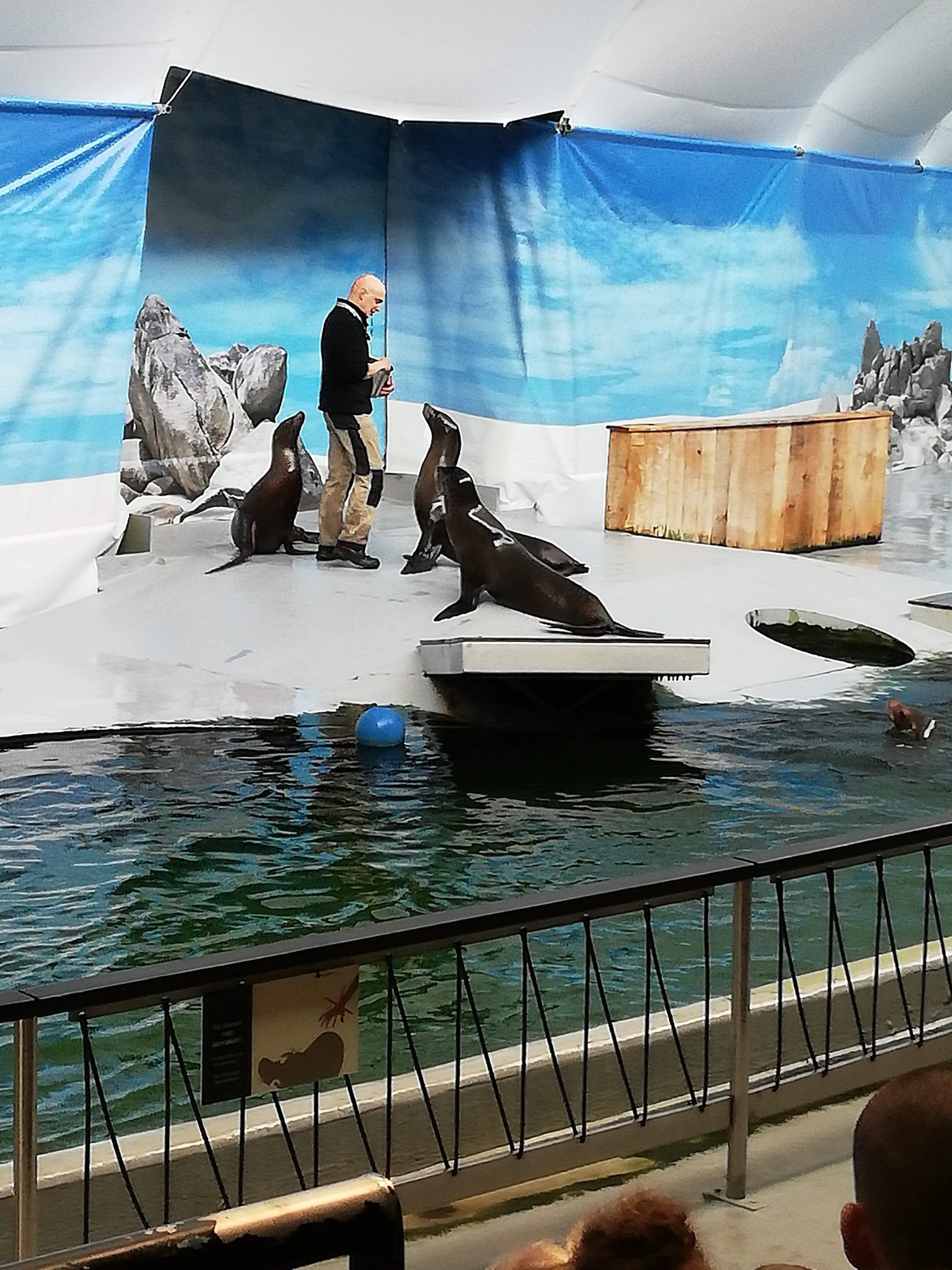 Sint-Martinus den XIIde - Zoo Antwerpen Kapoenen